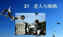 描写老人的句子