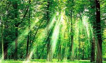 那些美到令人心痛的古风句子