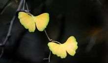 读上千遍也不为过的哲理句子