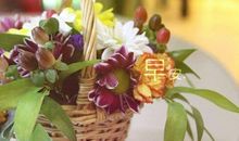 喜欢早晨的阳光发朋友圈的说说