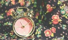 说单身狗开心的句子