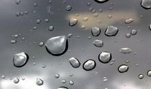 哲理句子：世界上总有一种爱