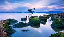 周一客户简短问候短信