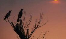 描写夕阳西下的诗句