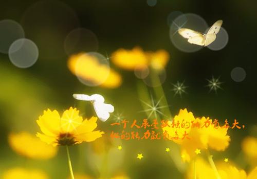 行动代价高昂