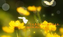 抖音火爆的励志说说 最近流行的抖音励志说说