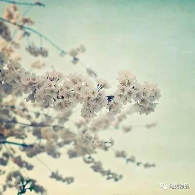 我向家人的爱人发送了夏季问候语