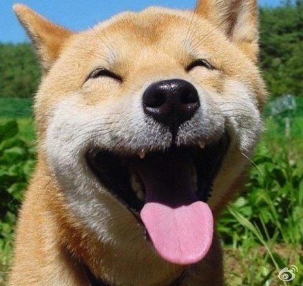 请享受小编组织的快乐句子