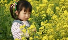 描写花香的句子