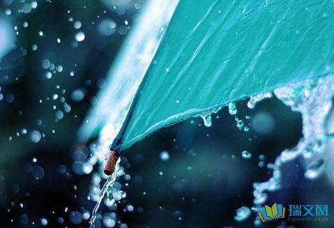 风追雨