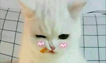 开心朋友圈的句子大全