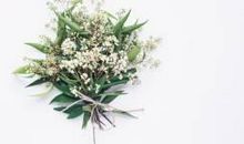 和女朋友开心的句子的句子