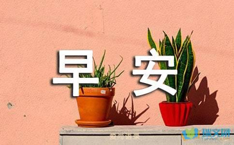 早上好