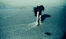 对某些朋友失望的句子