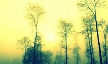 有关优美的人生感悟句子