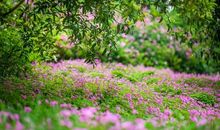 生活不易要开心的句子