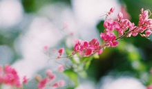 早上发朋友圈的开心句子