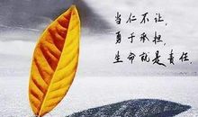 关于承担的名言