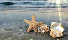 哲理的句子：雨过应该就有天晴