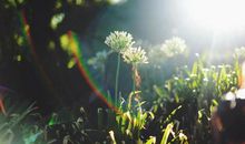 亲情伤心难过的句子说说心情