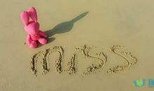 想表达感恩感谢的句子