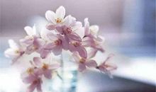 表示很开心的句子