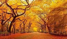 经典短句子人生感悟