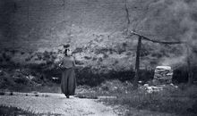 对人性的失望的句子