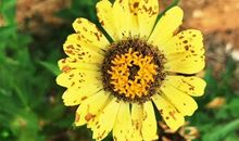 一切都很好的心情说说