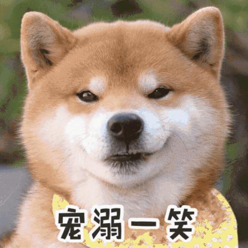 让我们看一下编辑编辑的幽默而快乐的句子