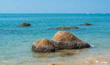 哲理句子：对生活都不感到负疚