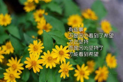 当您发布一个朋友圈时