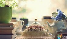 人生应该乐观开心的句子