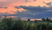 哲理句子：青春不会消逝