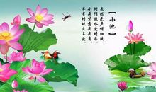 描写荷花的古诗