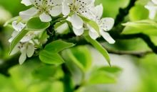 哄女生不开心的句子