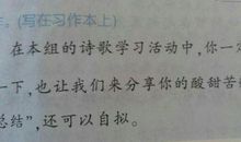 抒发爱国情感的诗句