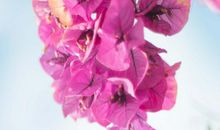 写不开心的句子有哪些