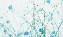 放不下一个人不开心的句子