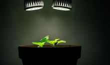 描写为了财不顾亲情的句子