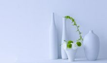 形容母爱的亲情句子