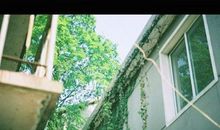 我们终究是错过的说说