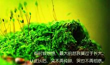 2020爱生活爱自己的励志说说