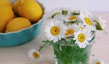 如何幸福开心的句子