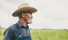 关于农民的心酸的句子