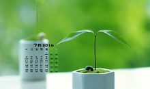 关于亲情珍惜的句子说说心情短语