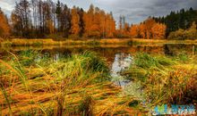 描写秋天的田野句子