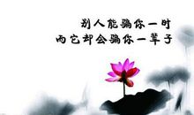 哲理句子:感悟人生的哲理句子