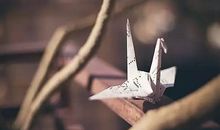 后悔曾经付出的句子