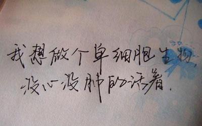 但他们不回头
